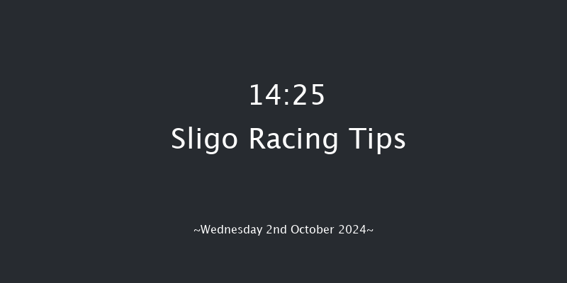 Sligo  14:25 Handicap Chase 18f Sun 7th Jul 2024