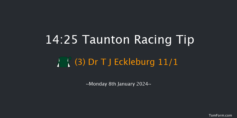 Taunton 14:25 Handicap Chase (Class 4) 16f Sat 30th Dec 2023