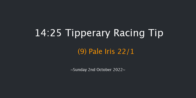 Tipperary 14:25 Group 3 7.5f Fri 26th Aug 2022