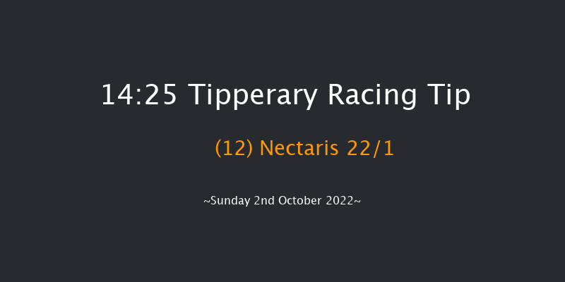 Tipperary 14:25 Group 3 7.5f Fri 26th Aug 2022