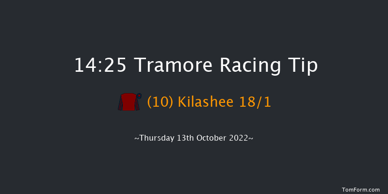 Tramore 14:25 Handicap Hurdle 16f Sun 14th Aug 2022