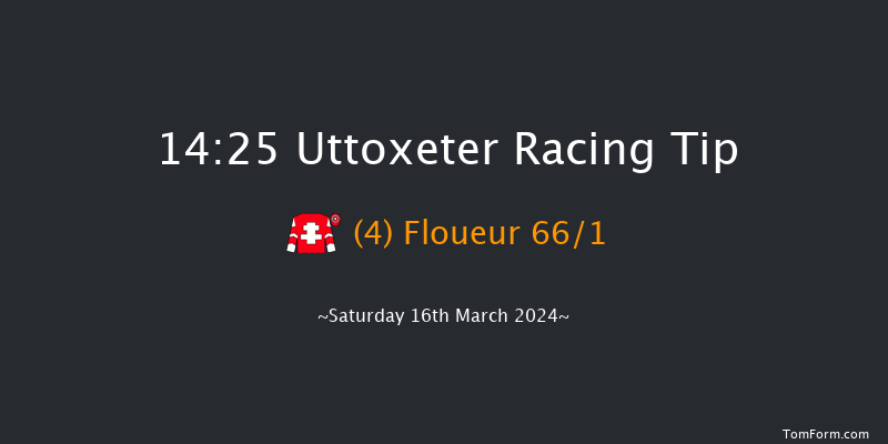 Uttoxeter  14:25 Handicap Hurdle (Class 2)
23f Sat 27th Jan 2024