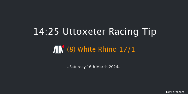 Uttoxeter  14:25 Handicap Hurdle (Class 2)
23f Sat 27th Jan 2024