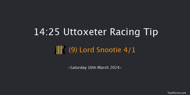 Uttoxeter  14:25 Handicap Hurdle (Class 2)
23f Sat 27th Jan 2024