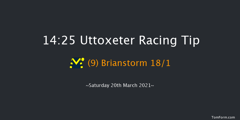 1834 Novices' Handicap Chase (GBB Race) Uttoxeter 14:25 Handicap Chase (Class 2) 24f Sun 21st Feb 2021