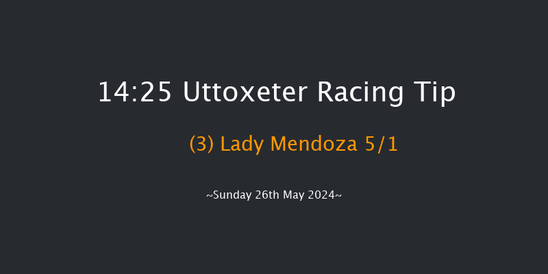 Uttoxeter  14:25 Handicap Hurdle (Class 5)
23f Sat 18th May 2024