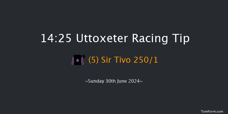 Uttoxeter  14:25 Handicap Chase (Class 2)
16f Sat 15th Jun 2024