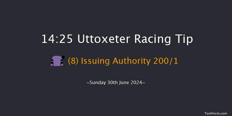 Uttoxeter  14:25 Handicap Chase (Class 2)
16f Sat 15th Jun 2024