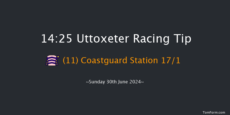 Uttoxeter  14:25 Handicap Chase (Class 2)
16f Sat 15th Jun 2024