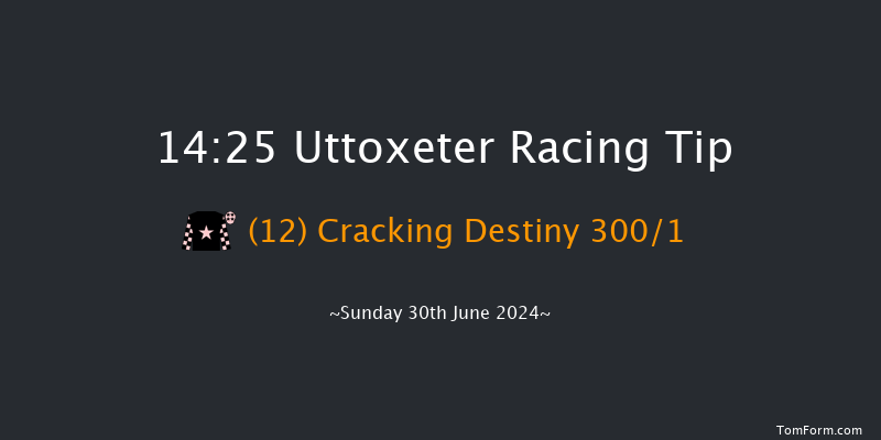 Uttoxeter  14:25 Handicap Chase (Class 2)
16f Sat 15th Jun 2024