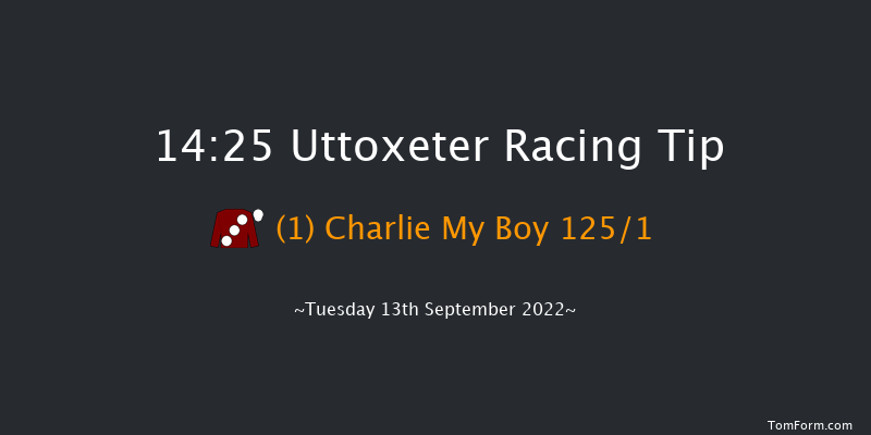 Uttoxeter 14:25 Maiden Hurdle (Class 4) 16f Wed 7th Sep 2022