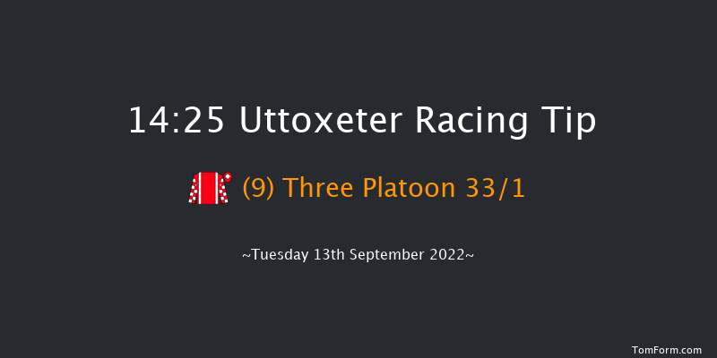 Uttoxeter 14:25 Maiden Hurdle (Class 4) 16f Wed 7th Sep 2022