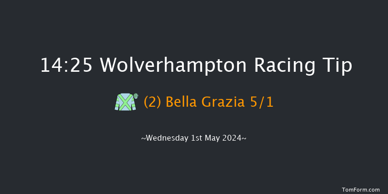 Wolverhampton  14:25 Handicap (Class 6) 12f Mon 29th Apr 2024