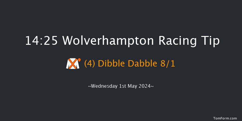 Wolverhampton  14:25 Handicap (Class 6) 12f Mon 29th Apr 2024