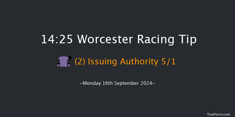 Worcester  14:25 Handicap Chase (Class 2) 20f Wed 11th Sep 2024