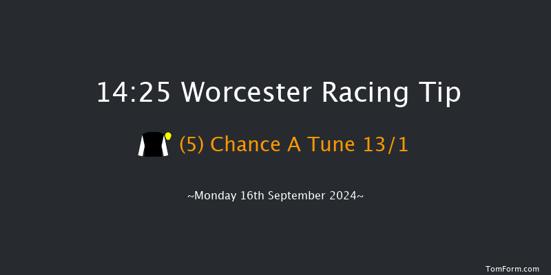 Worcester  14:25 Handicap Chase (Class 2) 20f Wed 11th Sep 2024