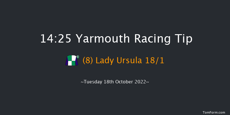 Yarmouth 14:25 Stakes (Class 4) 6f Mon 10th Oct 2022