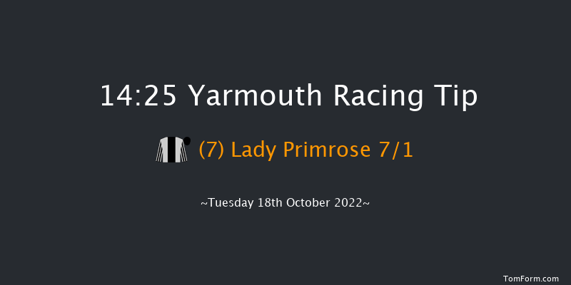 Yarmouth 14:25 Stakes (Class 4) 6f Mon 10th Oct 2022