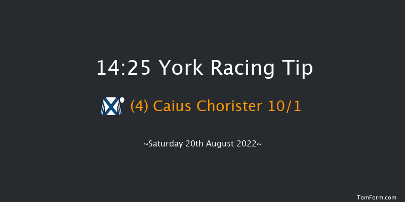 York 14:25 Handicap (Class 2) 14f Fri 19th Aug 2022