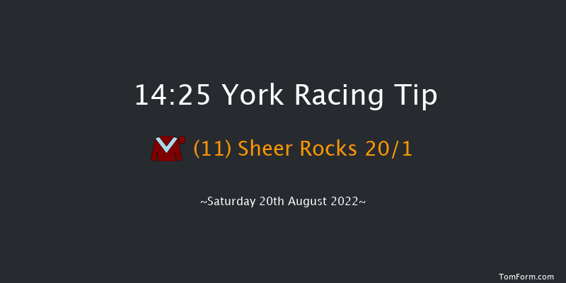 York 14:25 Handicap (Class 2) 14f Fri 19th Aug 2022