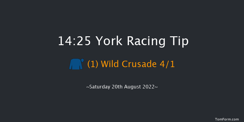 York 14:25 Handicap (Class 2) 14f Fri 19th Aug 2022