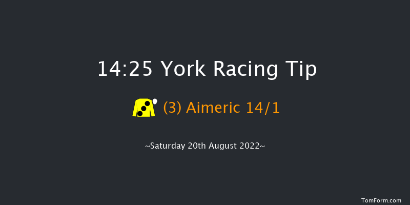 York 14:25 Handicap (Class 2) 14f Fri 19th Aug 2022