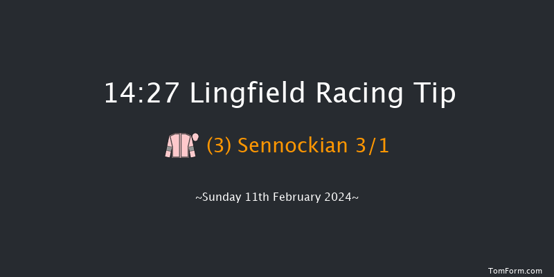 Lingfield  14:27 Handicap (Class 4) 8f Thu 8th Feb 2024