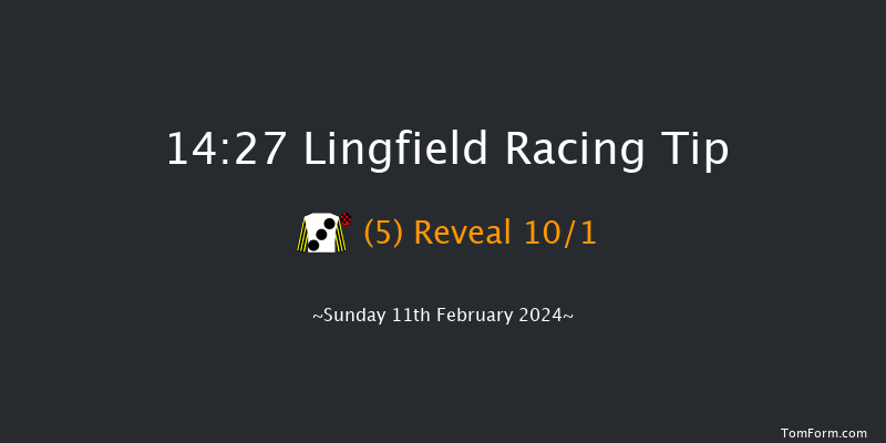 Lingfield  14:27 Handicap (Class 4) 8f Thu 8th Feb 2024