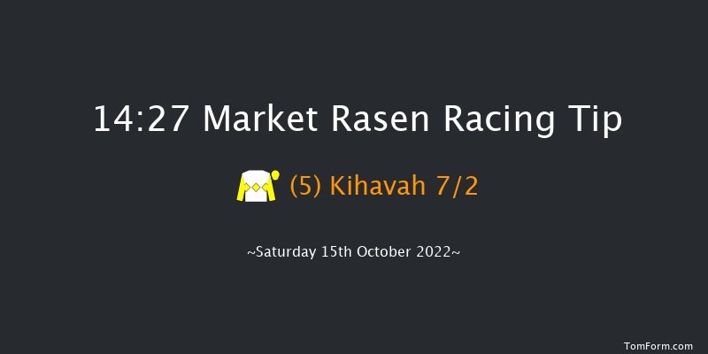 Market Rasen 14:27 Handicap Hurdle (Class 3) 21f Sat 24th Sep 2022