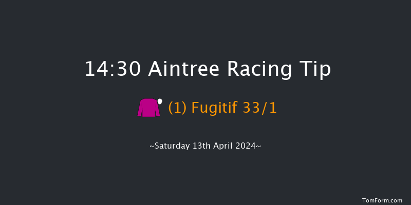 Aintree  14:30 Handicap Chase (Class 1) 25f Fri 12th Apr 2024