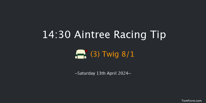 Aintree  14:30 Handicap Chase (Class 1) 25f Fri 12th Apr 2024