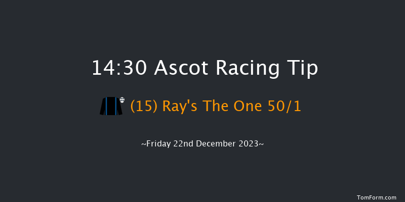 Ascot 14:30 Handicap Hurdle (Class 4) 16f Sat 25th Nov 2023