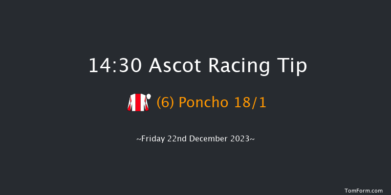 Ascot 14:30 Handicap Hurdle (Class 4) 16f Sat 25th Nov 2023