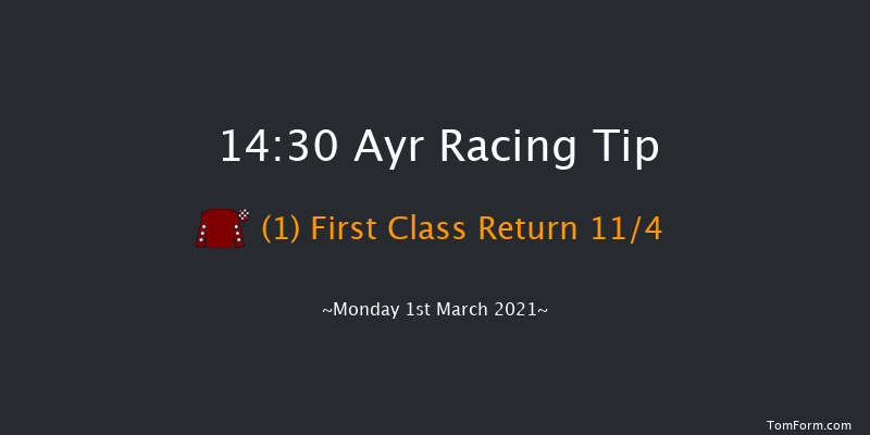 Stunning Weddings At Western House Hotel Conditional Jockeys' Handicap Hurdle Ayr 14:30 Handicap Hurdle (Class 5) 20f Mon 18th Jan 2021