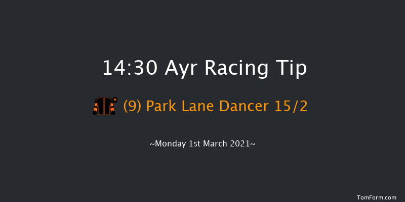 Stunning Weddings At Western House Hotel Conditional Jockeys' Handicap Hurdle Ayr 14:30 Handicap Hurdle (Class 5) 20f Mon 18th Jan 2021