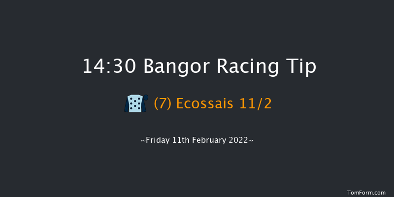 Bangor 14:30 Handicap Chase (Class 4) 30f Thu 13th Jan 2022