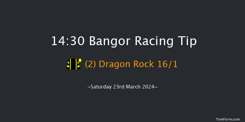 Bangor-on-dee  14:30 Handicap Chase (Class
3) 24f Wed 28th Feb 2024