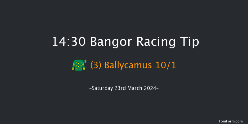 Bangor-on-dee  14:30 Handicap Chase (Class
3) 24f Wed 28th Feb 2024