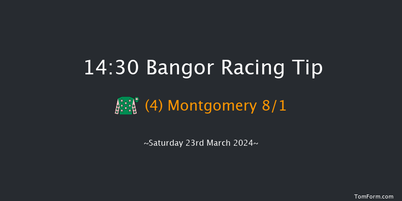 Bangor-on-dee  14:30 Handicap Chase (Class
3) 24f Wed 28th Feb 2024