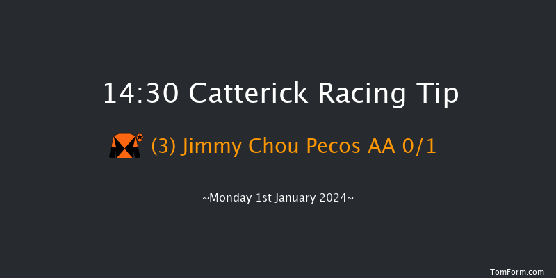 Catterick 14:30 Maiden Hurdle (Class 4) 16f Thu 28th Dec 2023