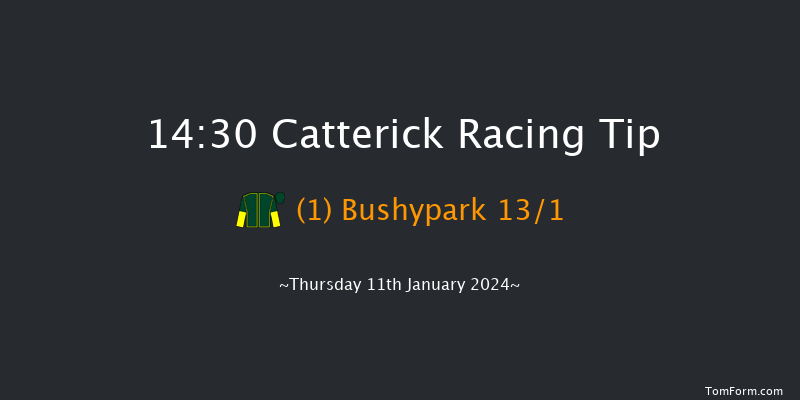 Catterick 14:30 Handicap Chase (Class 3) 30f Mon 1st Jan 2024