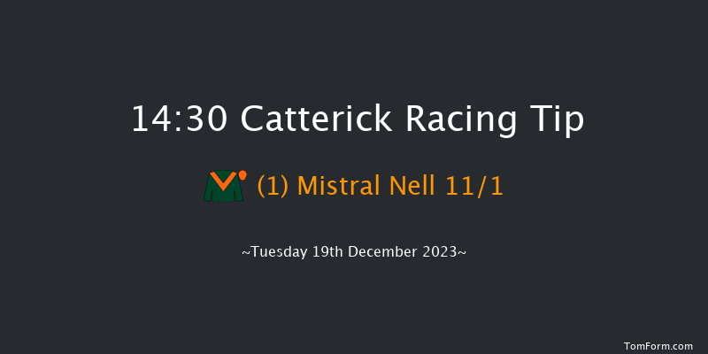 Catterick 14:30 Handicap Hurdle (Class 5) 19f Fri 24th Nov 2023