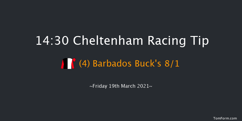 Albert Bartlett Novices' Hurdle (Grade 1) (Registered As The Spa Novices' Hurdle) (GBB Race) Cheltenham 14:30 Maiden Hurdle (Class 1) 24f Thu 18th Mar 2021