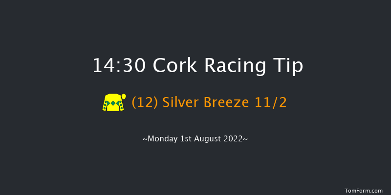 Cork 14:30 Maiden Hurdle 17f Fri 22nd Jul 2022