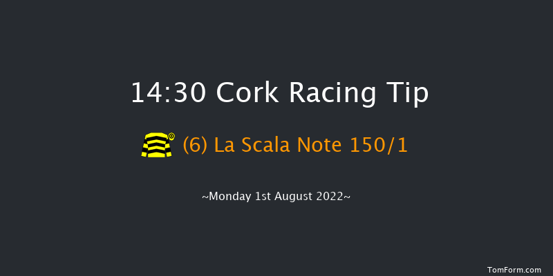 Cork 14:30 Maiden Hurdle 17f Fri 22nd Jul 2022