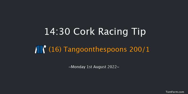 Cork 14:30 Maiden Hurdle 17f Fri 22nd Jul 2022