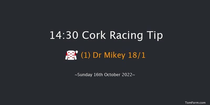 Cork 14:30 Handicap Hurdle 19f Tue 27th Sep 2022