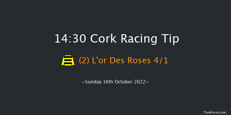 Cork 14:30 Handicap Hurdle 19f Tue 27th Sep 2022