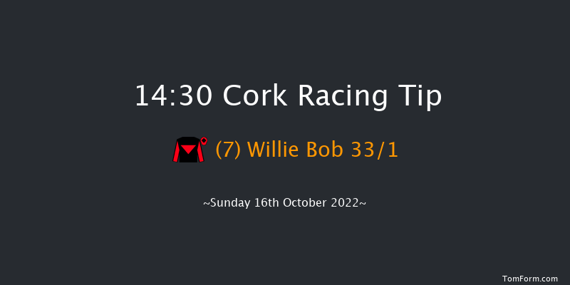 Cork 14:30 Handicap Hurdle 19f Tue 27th Sep 2022