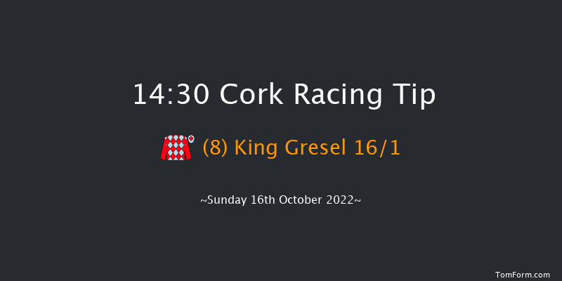 Cork 14:30 Handicap Hurdle 19f Tue 27th Sep 2022